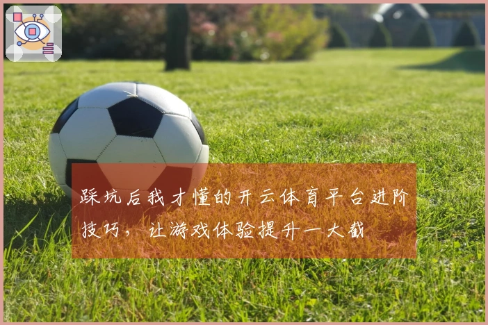 踩坑后我才懂的开云体育平台进阶技巧，让游戏体验提升一大截