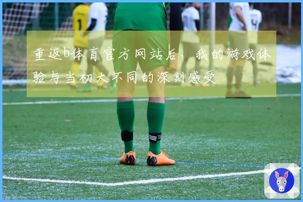 重返b体育官方网站后，我的游戏体验与当初大不同的深刻感受