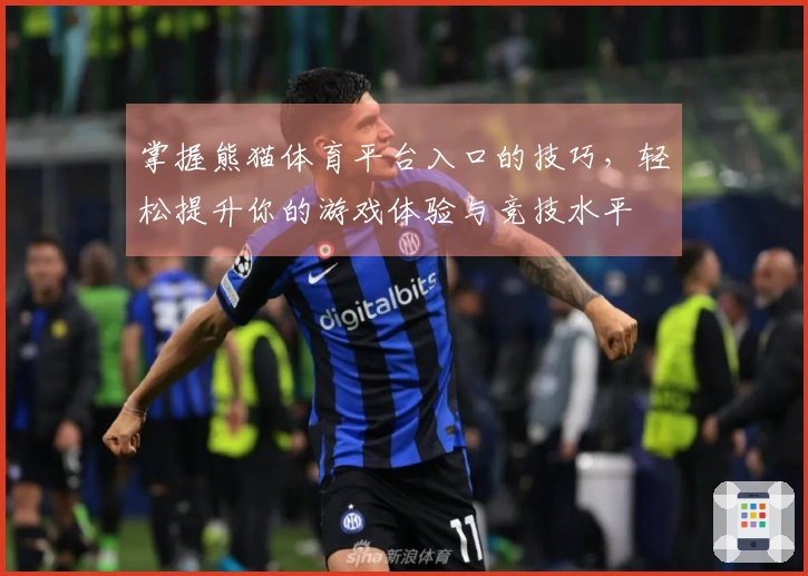 掌握熊猫体育平台入口的技巧，轻松提升你的游戏体验与竞技水平