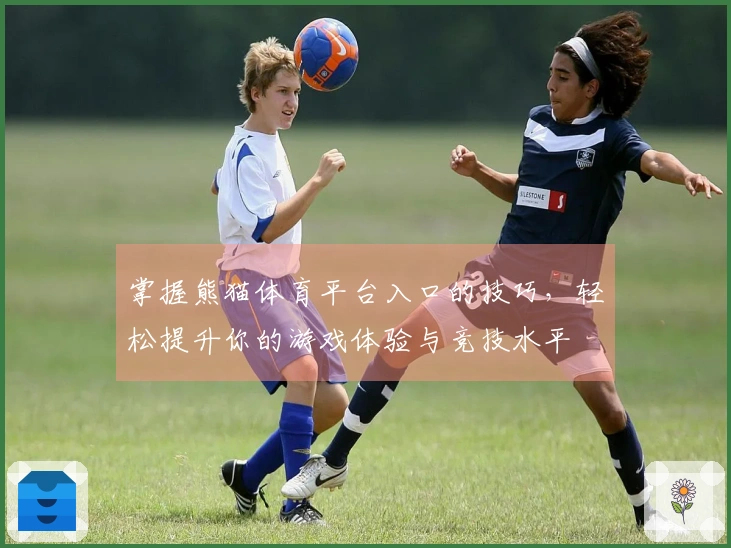 掌握熊猫体育平台入口的技巧，轻松提升你的游戏体验与竞技水平