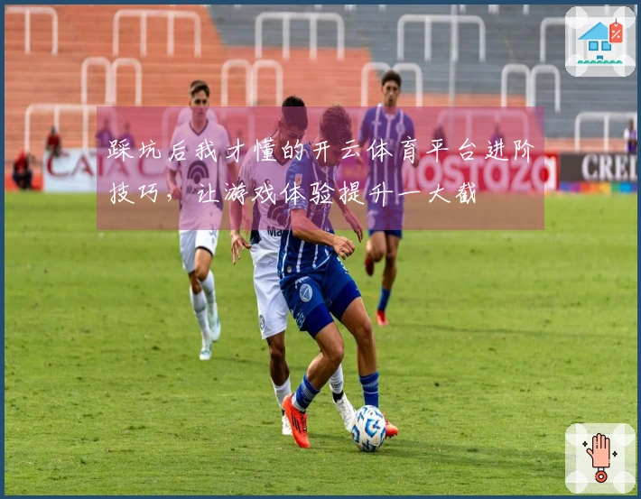 踩坑后我才懂的开云体育平台进阶技巧，让游戏体验提升一大截