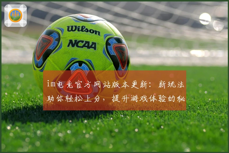 im电竞官方网站版本更新：新玩法助你轻松上分，提升游戏体验的秘密武器！